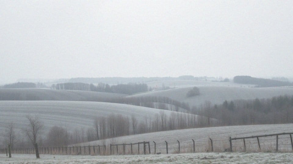 Jakie województwa mają najwyższą umieralność?
