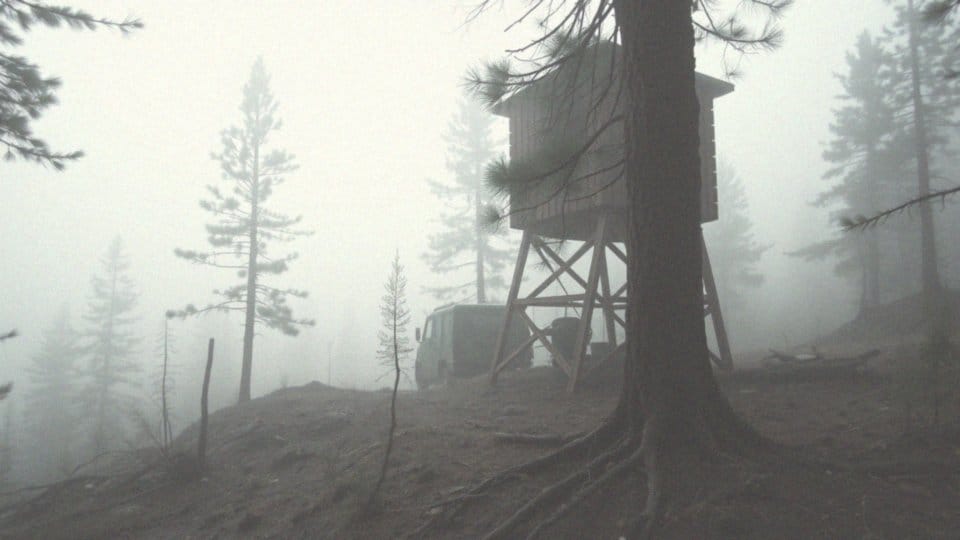 Jakie są główne motywy składania wniosków do Wojska Specjalnego?