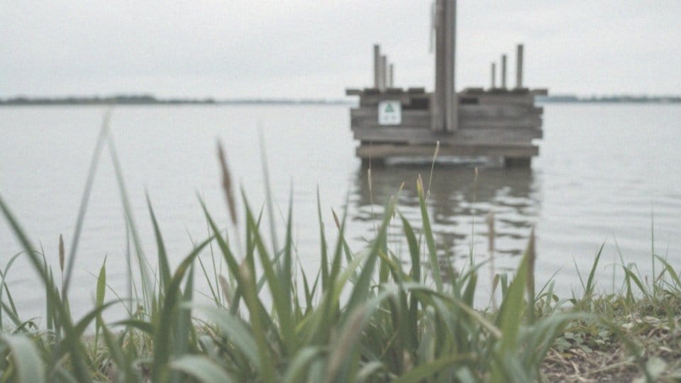 Enterokoki w wodzie – czy można się bezpiecznie myć?