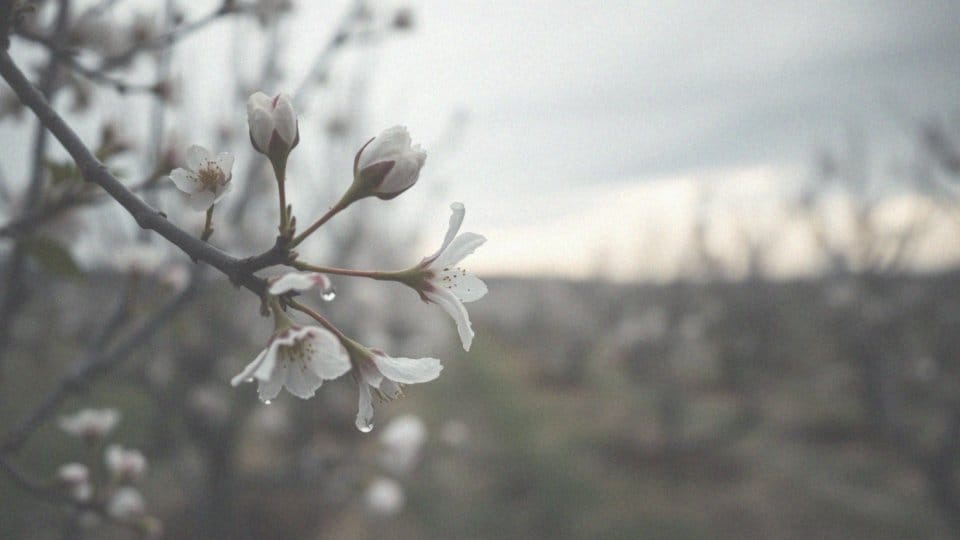 Mam 33 lata i nie mogę zajść w ciążę – przyczyny i rozwiązania