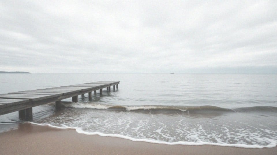 Ray Liotta na co zmarł? Przyczyny i okoliczności śmierci