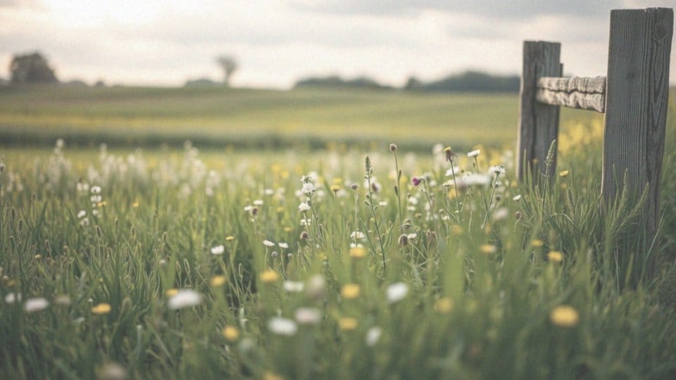 Remisja choroby – co to znaczy i jak wpływa na zdrowie?